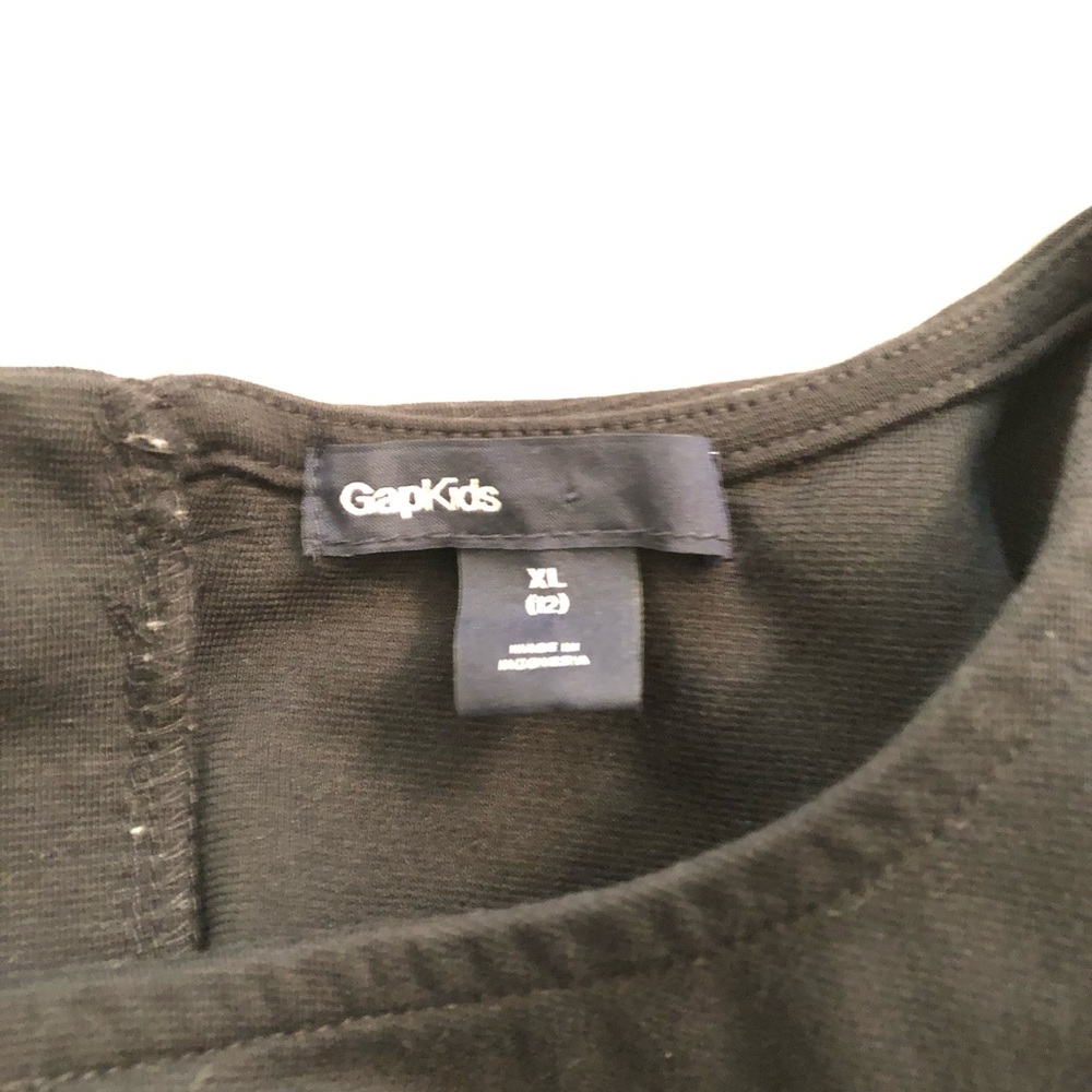 GAP Colorblock Shift Dress - Picture 3 of 3